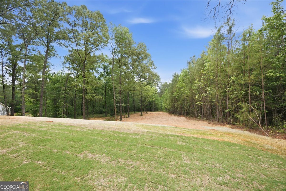 2778 Boxankle Road Forsyth, GA 31029 - Photo 20 of 21 a backyard of a house with lots of green space
