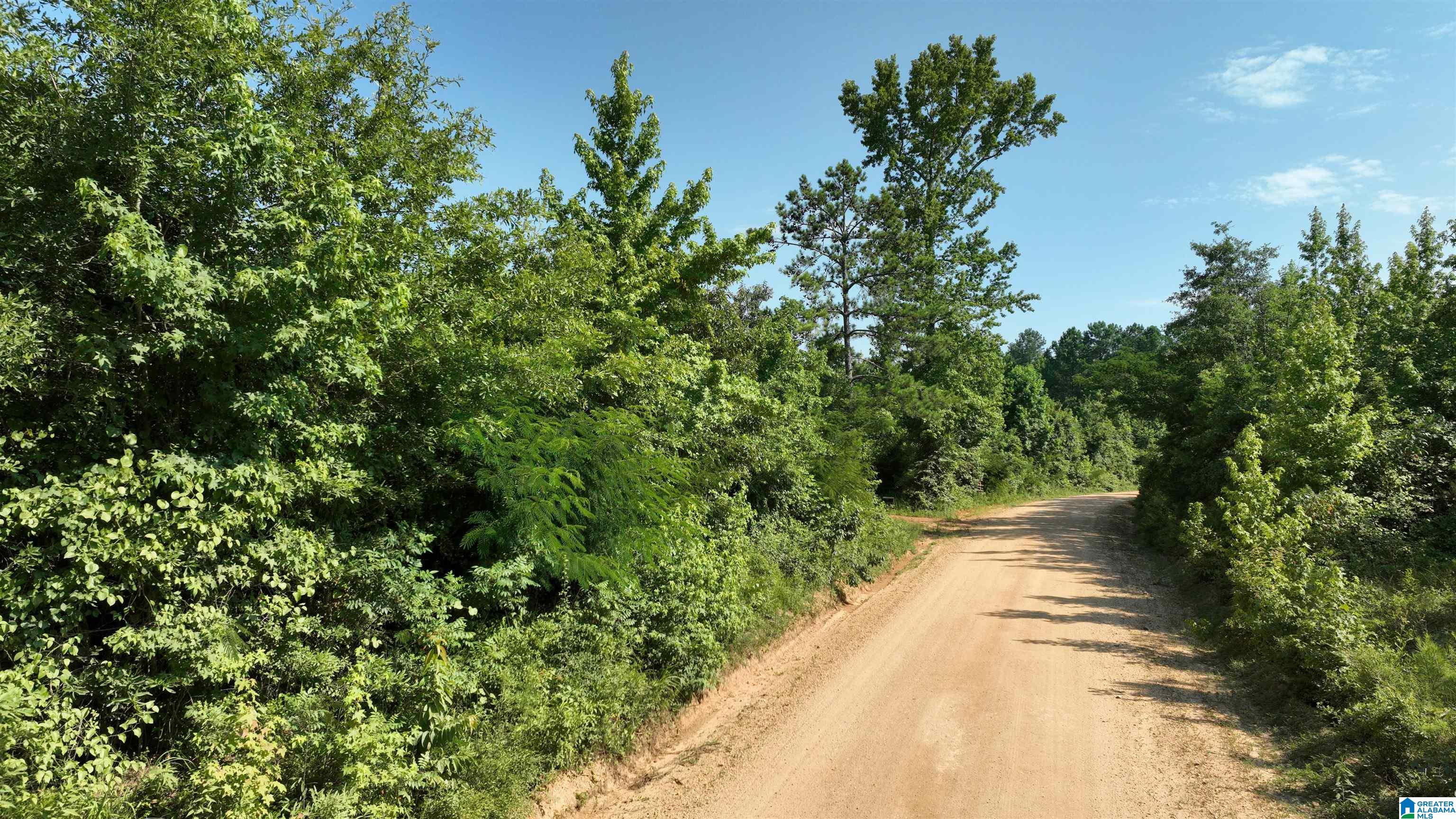 2 County Road 253, Unit 2 Clanton, AL 35046 - Photo 17 of 40