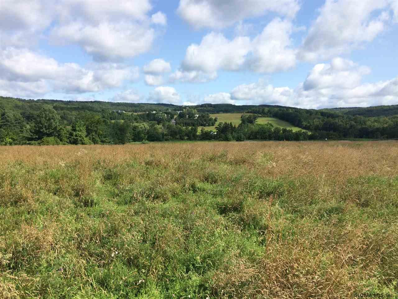 358 County Rt Medusa, NY 12120 - Photo 2 of 11 Photo 2