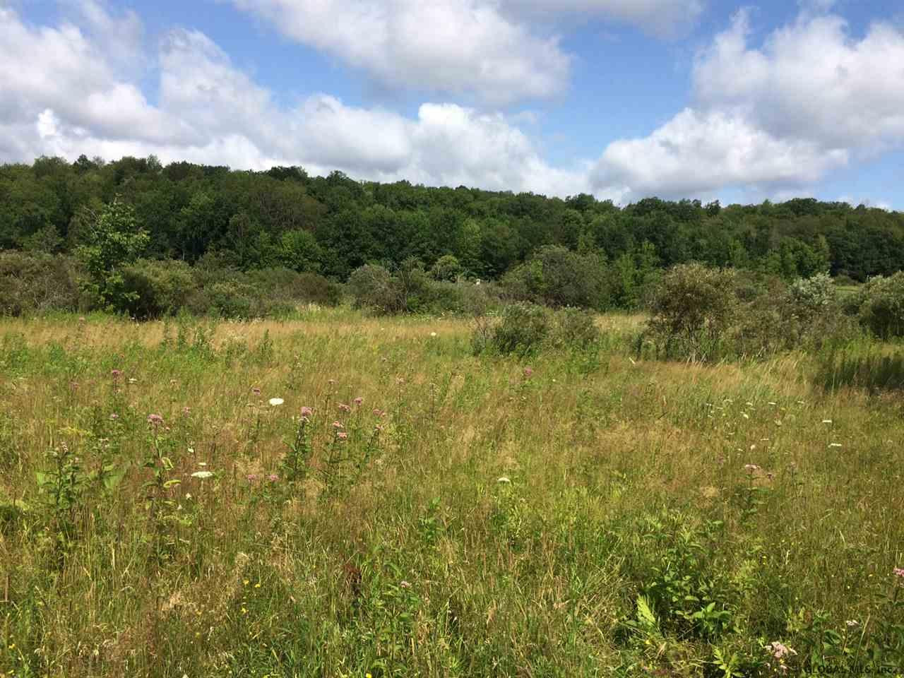 358 County Rt Medusa, NY 12120 - Photo 8 of 11 Photo 8