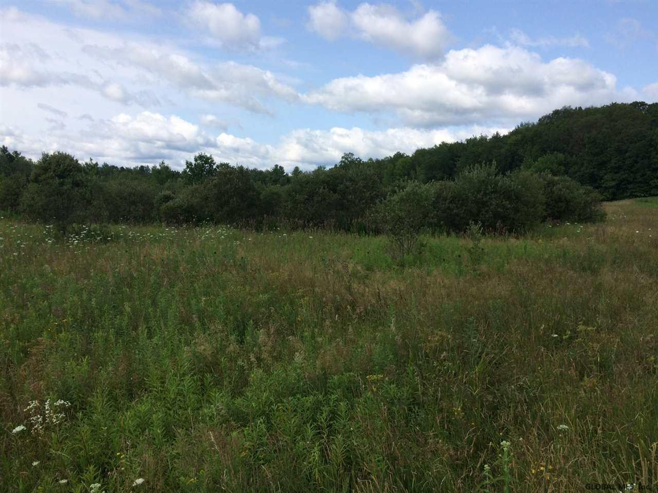358 County Rt Medusa, NY 12120 - Photo 10 of 11 Photo 10
