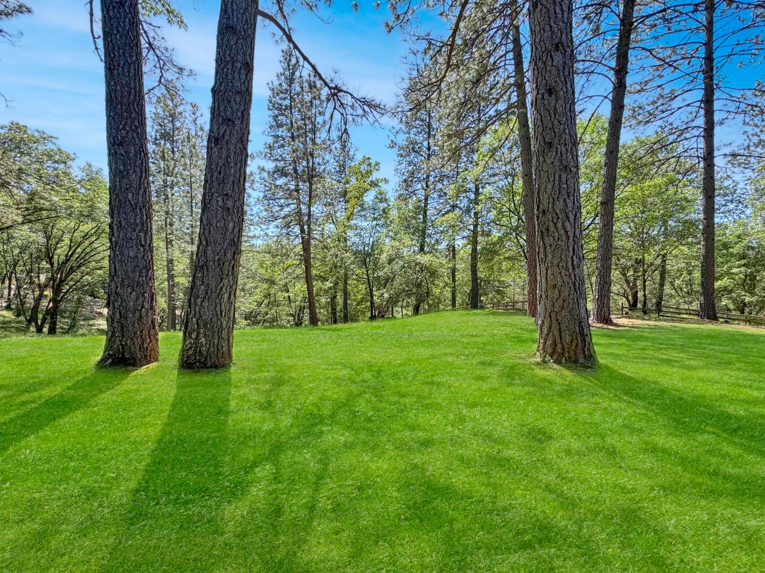1795 Volley Road Meadow Vista, CA 95722 - Photo 26 of 34 a view of lush green field