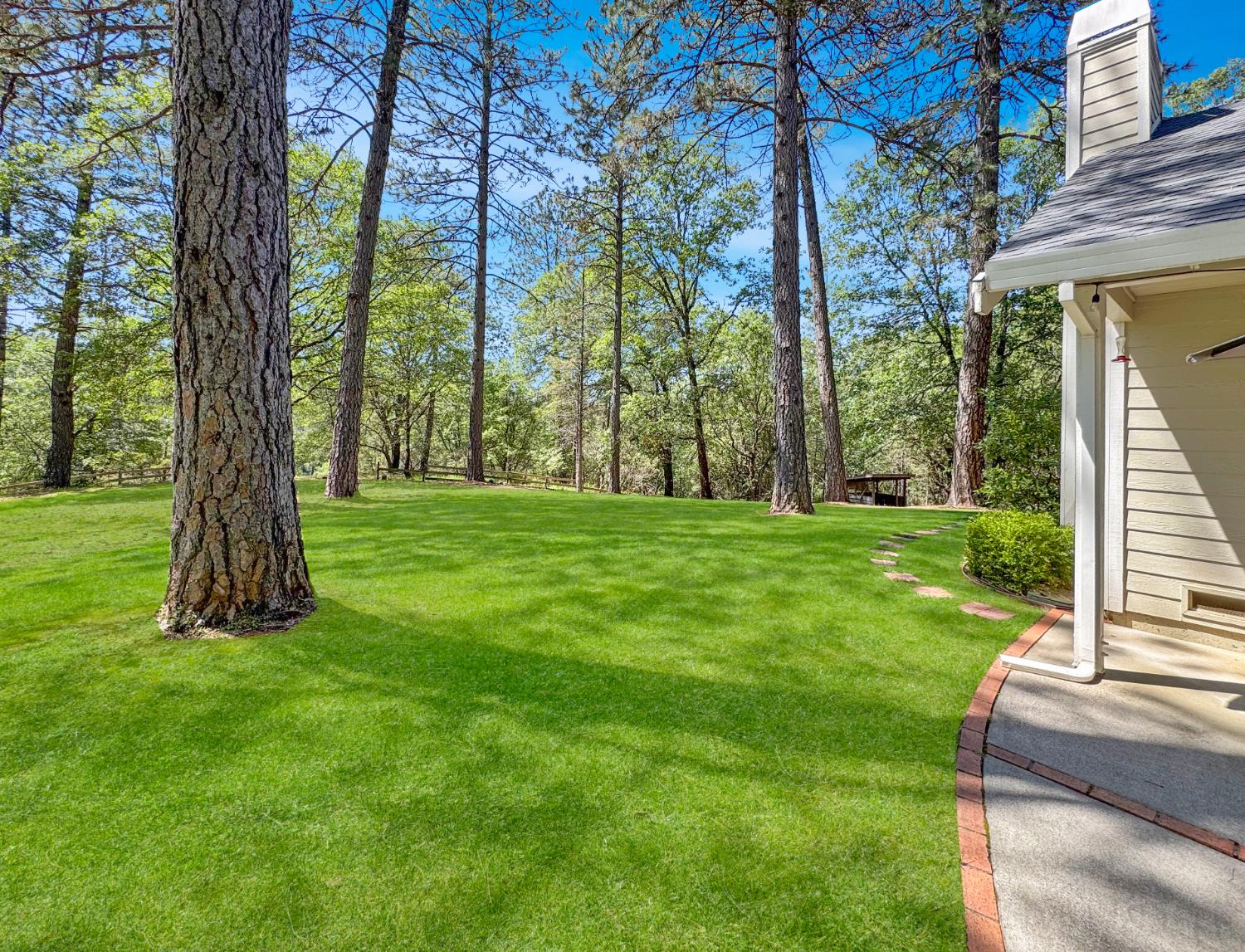 1795 Volley Road Meadow Vista, CA 95722 - Photo 27 of 34 a view of a trees in a yard