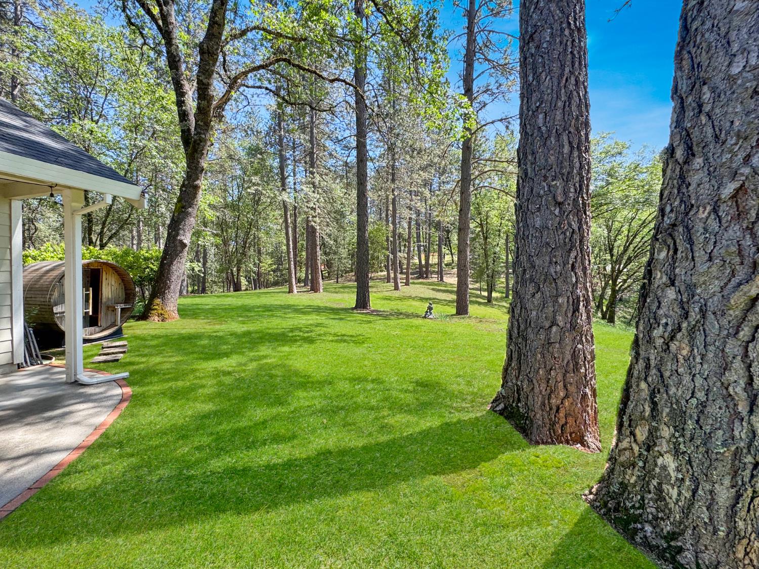 1795 Volley Road Meadow Vista, CA 95722 - Photo 28 of 34 a view of green field
