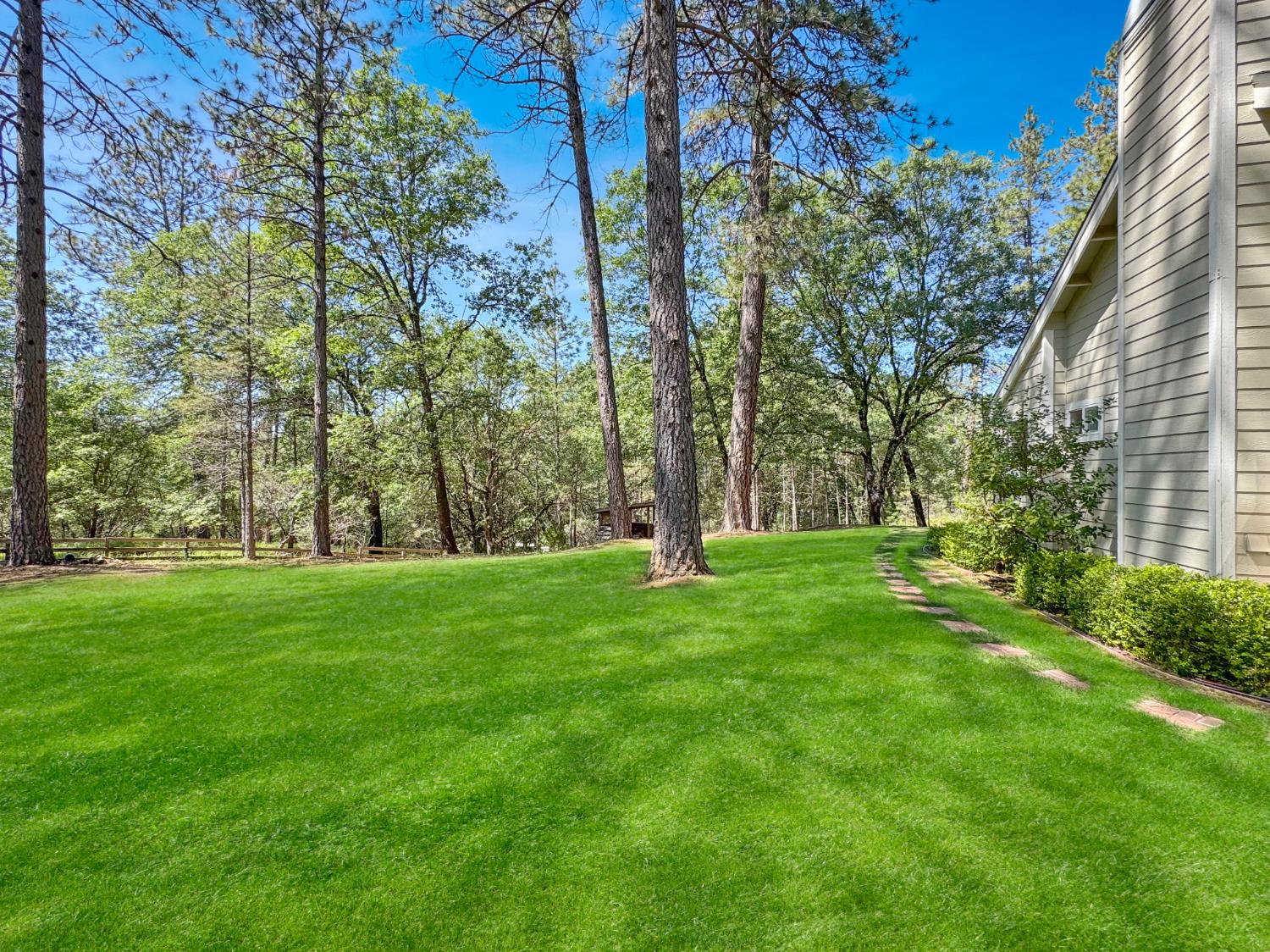 1795 Volley Road Meadow Vista, CA 95722 - Photo 29 of 34 a view of a trees in a yard