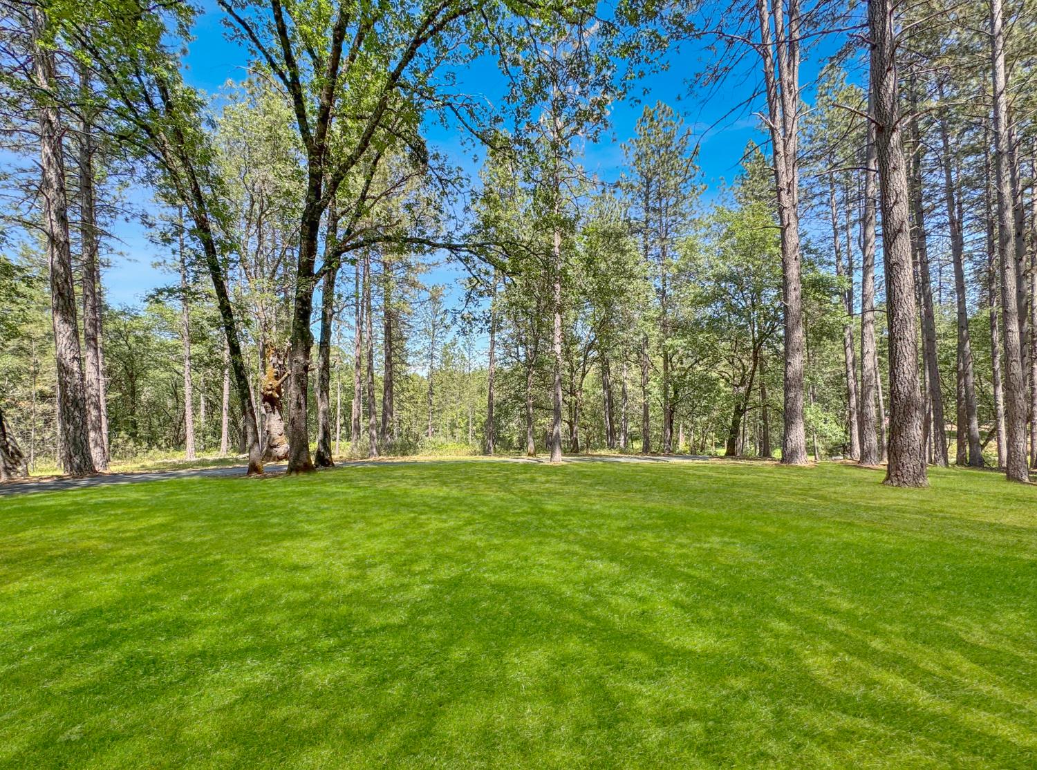 1795 Volley Road Meadow Vista, CA 95722 - Photo 3 of 34 a big yard with lots of green space and trees