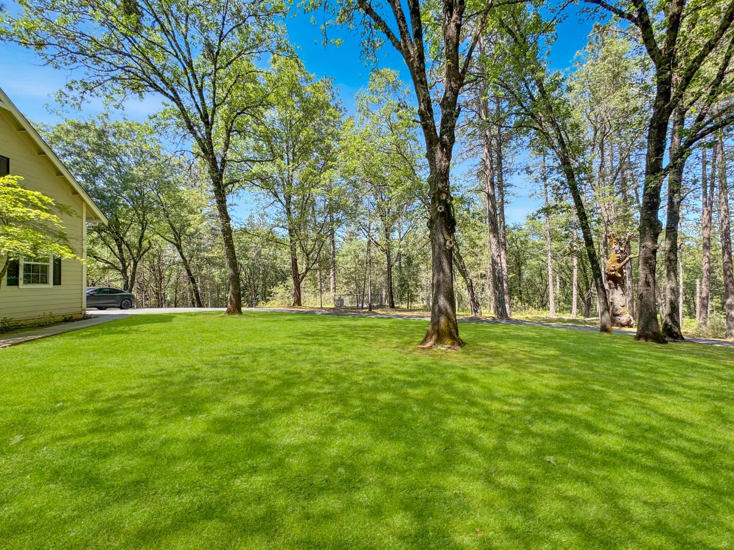 1795 Volley Road Meadow Vista, CA 95722 - Photo 31 of 34 a huge green field with lots of trees