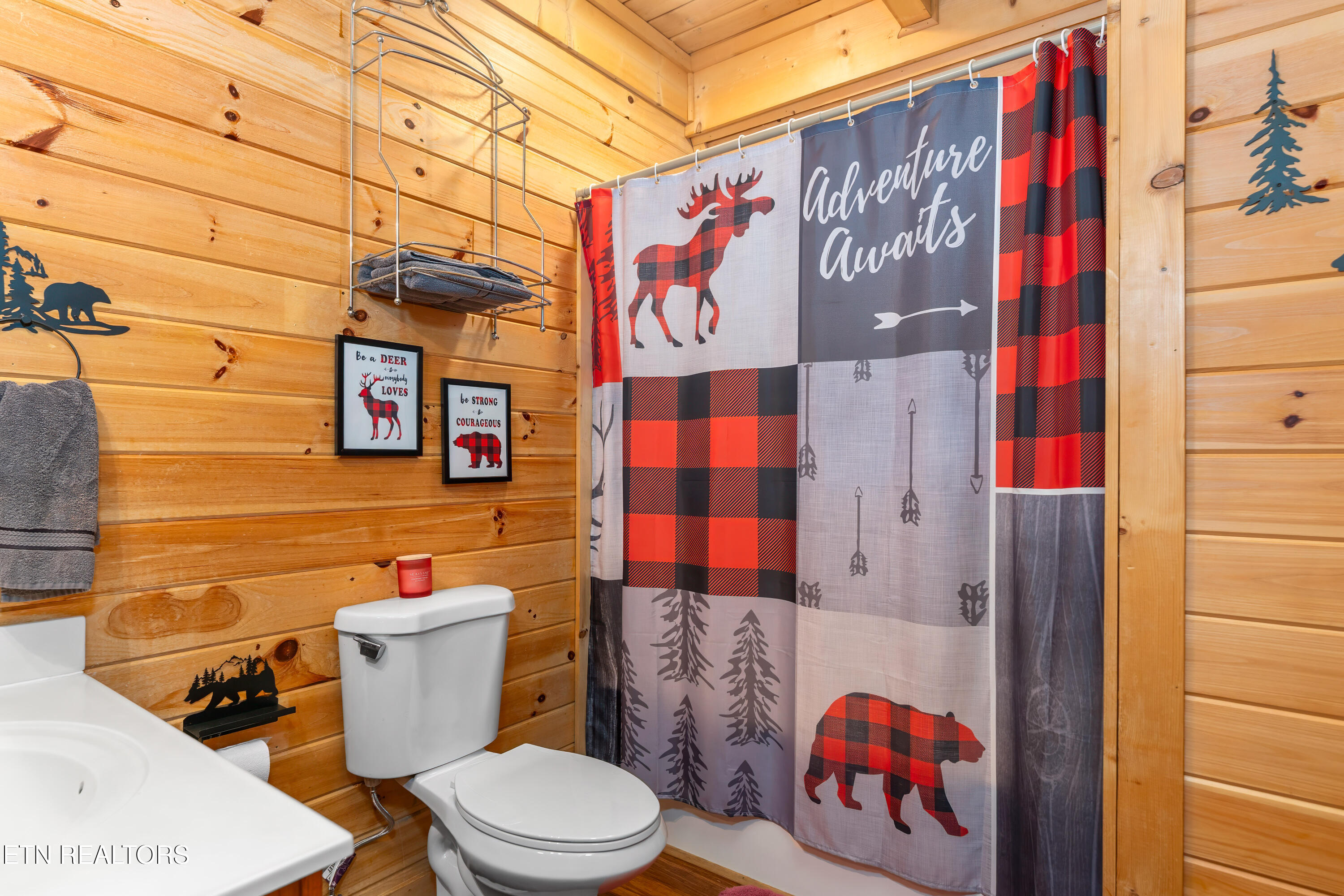 1074 Willard Way Sevierville, TN 37876 - Photo 18 of 32 _DSC0594-Edit