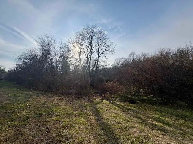 a view of outdoor space and yard