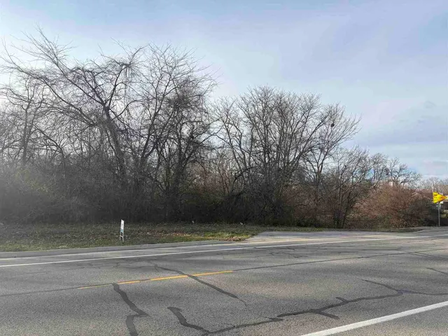 a view of a yard with large trees