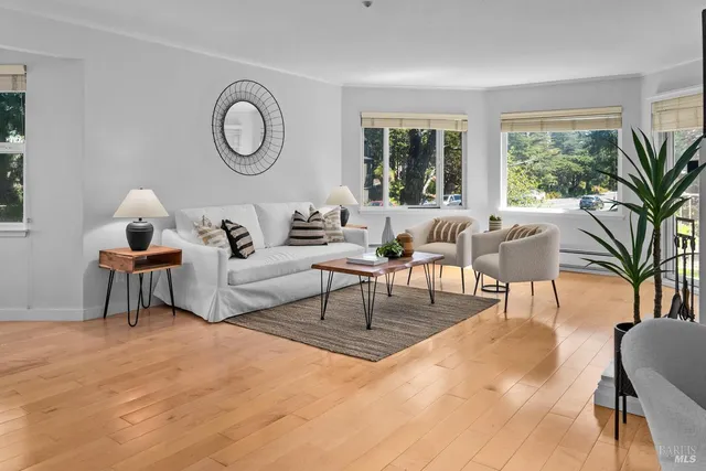 a living room with furniture a large window and a potted plant