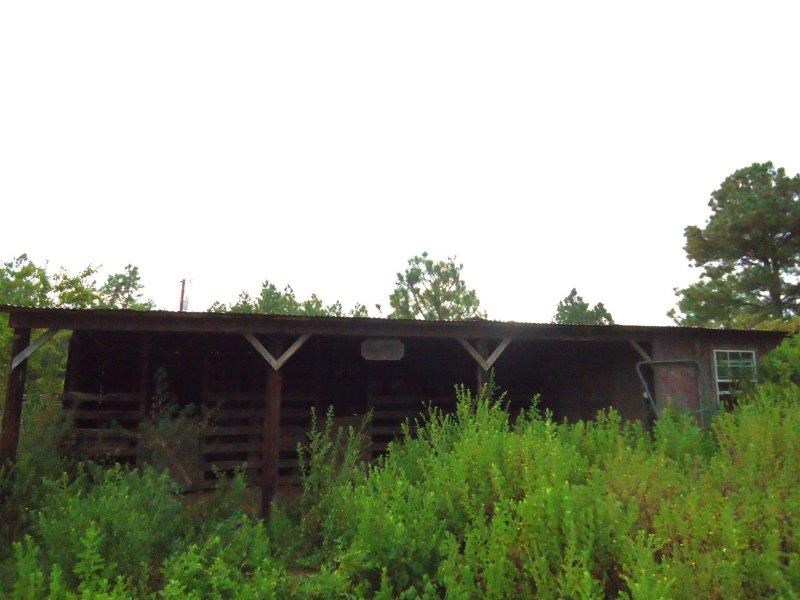 435 Dog Trot Road Box Springs, GA 31801 - Photo 28 of 34 Gallery Image 28