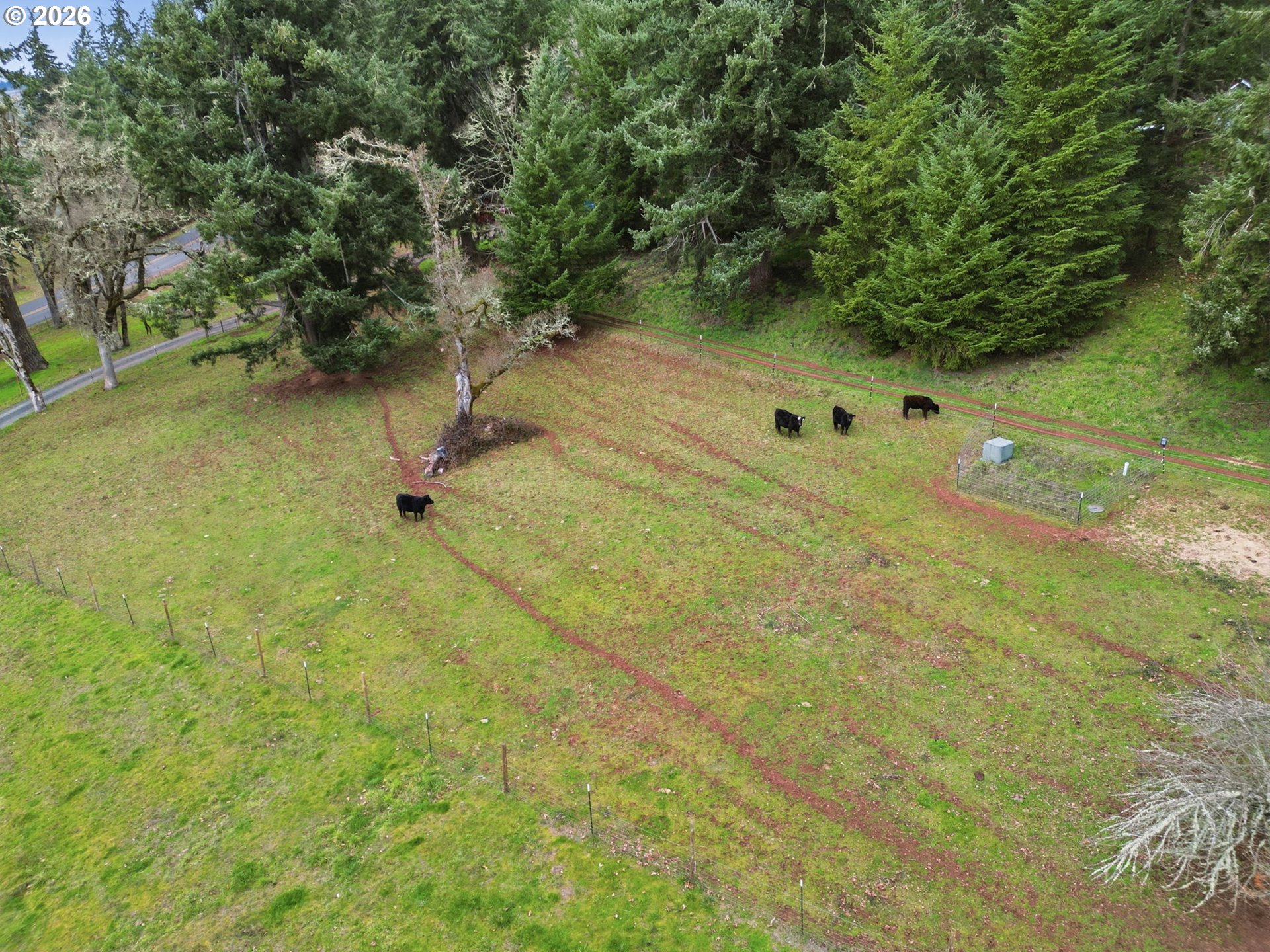 78783 Sears Road Cottage Grove, OR 97424 - Photo 32 of 48