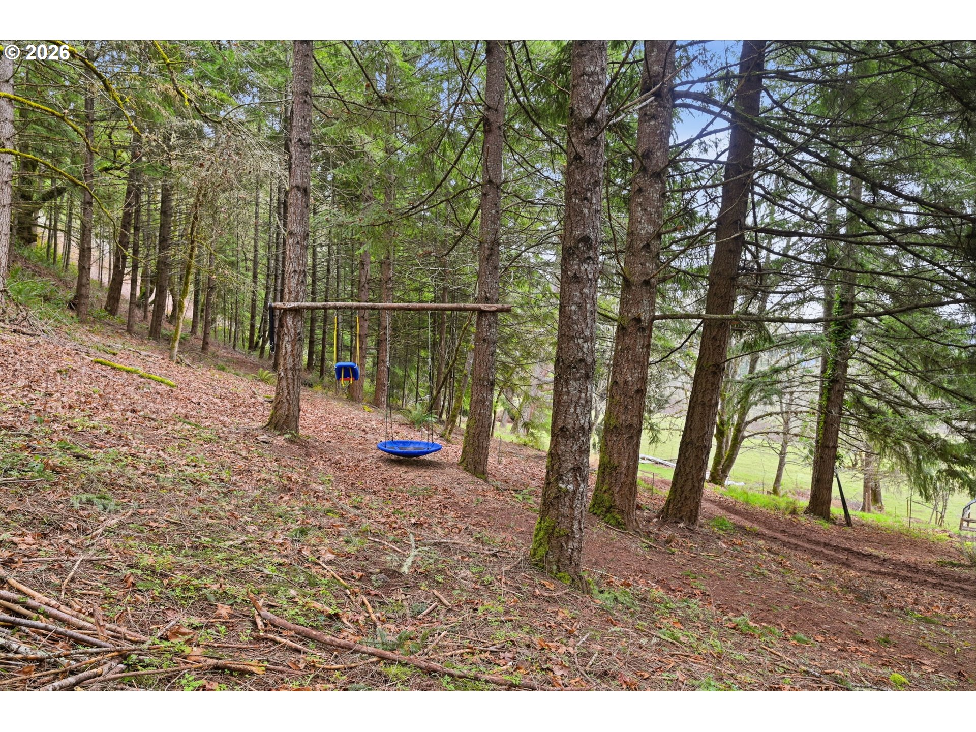 78783 Sears Road Cottage Grove, OR 97424 - Photo 36 of 48