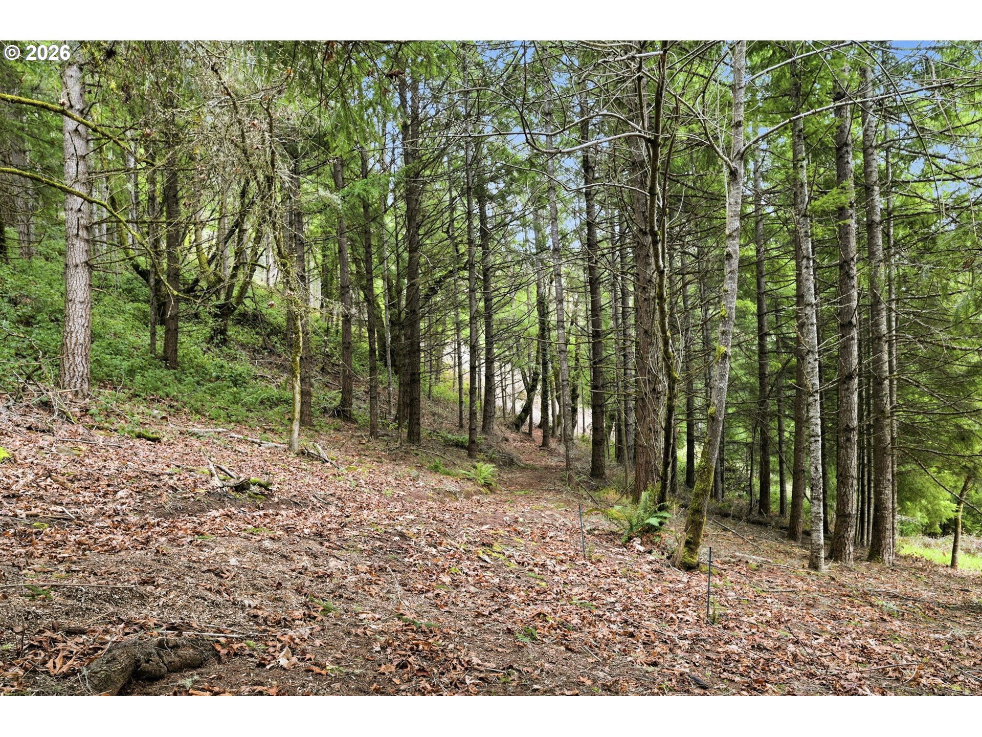 78783 Sears Road Cottage Grove, OR 97424 - Photo 37 of 48