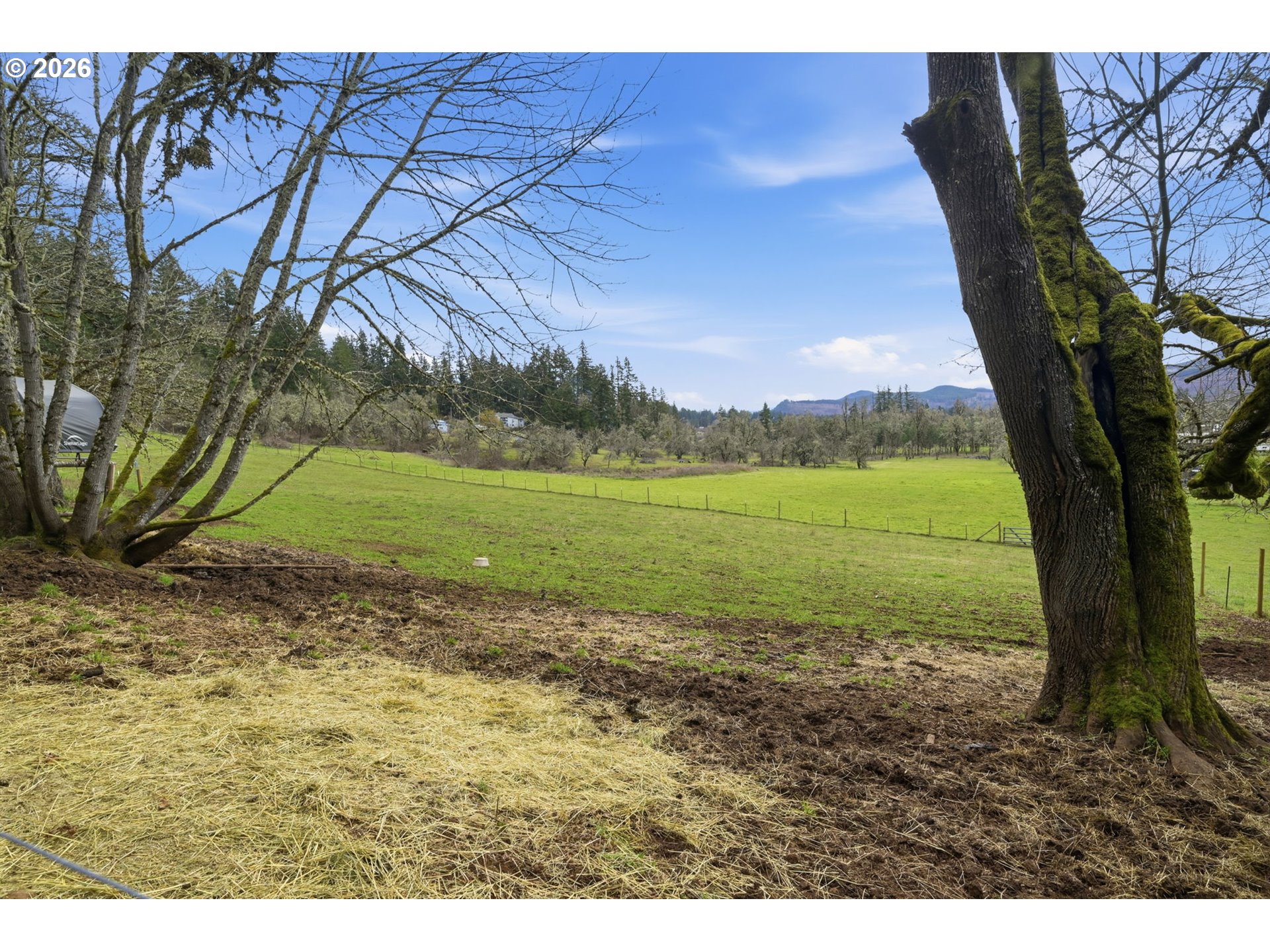 78783 Sears Road Cottage Grove, OR 97424 - Photo 40 of 48