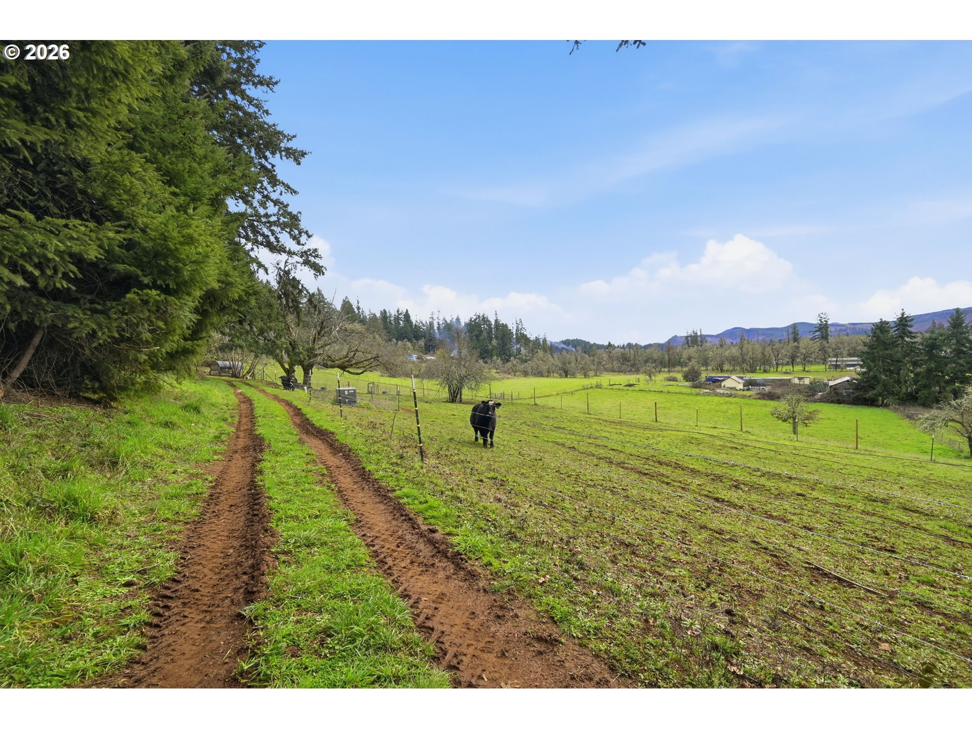 78783 Sears Road Cottage Grove, OR 97424 - Photo 41 of 48
