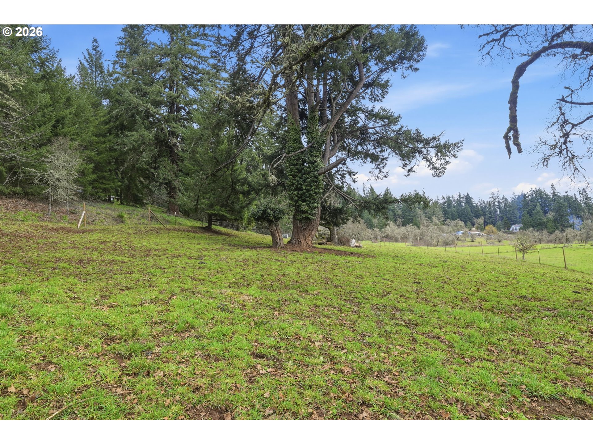 78783 Sears Road Cottage Grove, OR 97424 - Photo 42 of 48