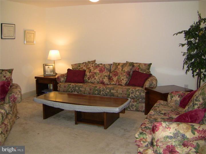 440 Colts Run Road Williamstown, NJ 08094 - Photo 18 of 23 Basement - Finished