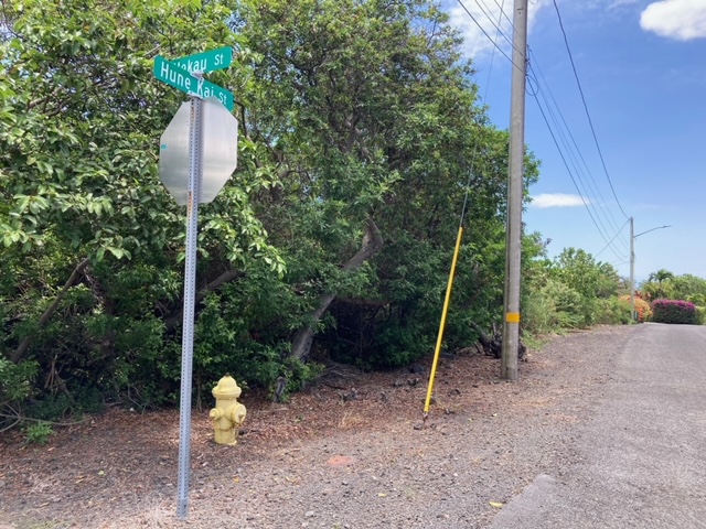 94-5770 Lot 707 Hune Kai Street Naalehu, HI 96772 - Photo 1 of 13 a view of a park with a slide