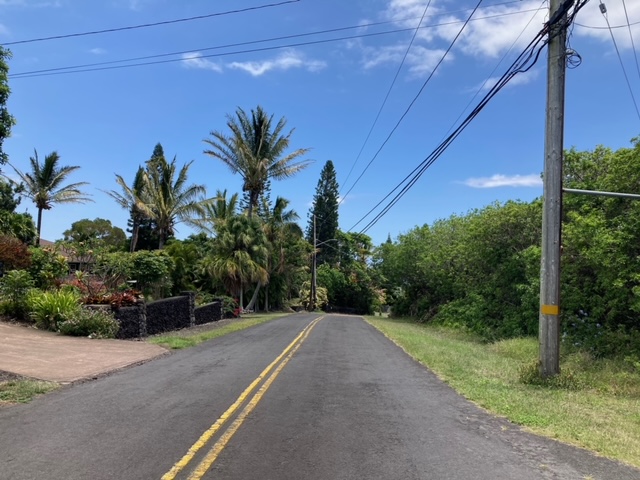 94-5770 Lot 707 Hune Kai Street Naalehu, HI 96772 - Photo 12 of 13 a view of a yard with potted plants