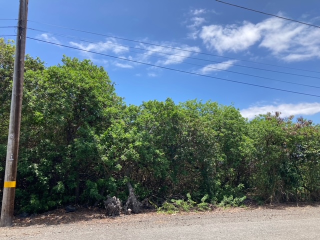 94-5770 Lot 707 Hune Kai Street Naalehu, HI 96772 - Photo 2 of 13 a view of a yard