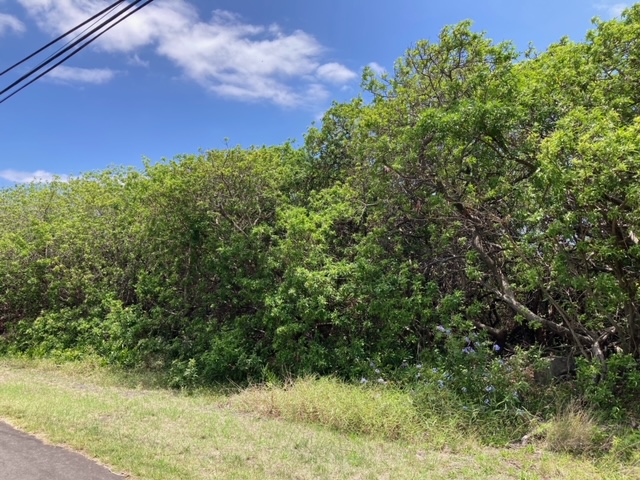 94-5770 Lot 707 Hune Kai Street Naalehu, HI 96772 - Photo 3 of 13 a view of a yard with plants and a bench