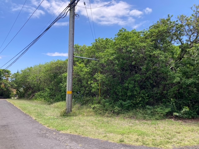 94-5770 Lot 707 Hune Kai Street Naalehu, HI 96772 - Photo 4 of 13 a view of a yard with potted plants