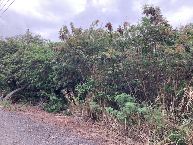 94-5770 Lot 707 Hune Kai Street Naalehu, HI 96772 - Photo 7 of 13 a view of a bunch of trees