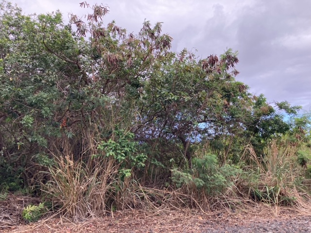 94-5770 Lot 707 Hune Kai Street Naalehu, HI 96772 - Photo 8 of 13