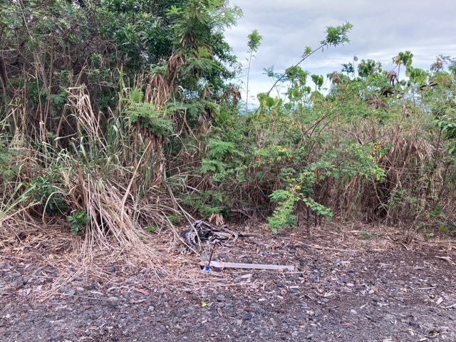 94-5770 Lot 707 Hune Kai Street Naalehu, HI 96772 - Photo 9 of 13 a view of a yard