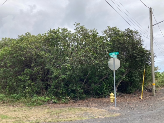 94-5770 Lot 707 Hune Kai Street Naalehu, HI 96772 - Photo 10 of 13 a front view of a house with a yard and hanging chair