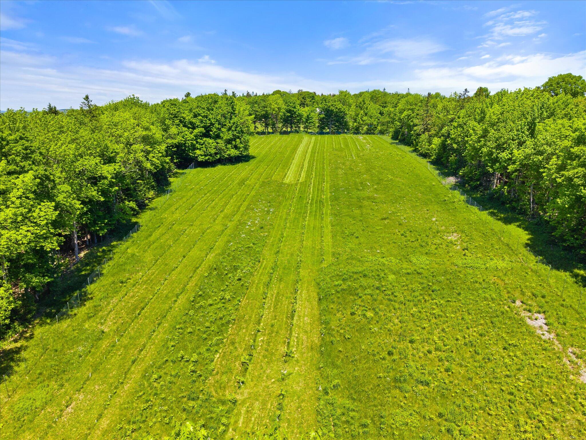 468 Hinckley Ridge Road Blue Hill, ME 04614 - Photo 71 of 74 81-468 Hinkley Ridge Rd