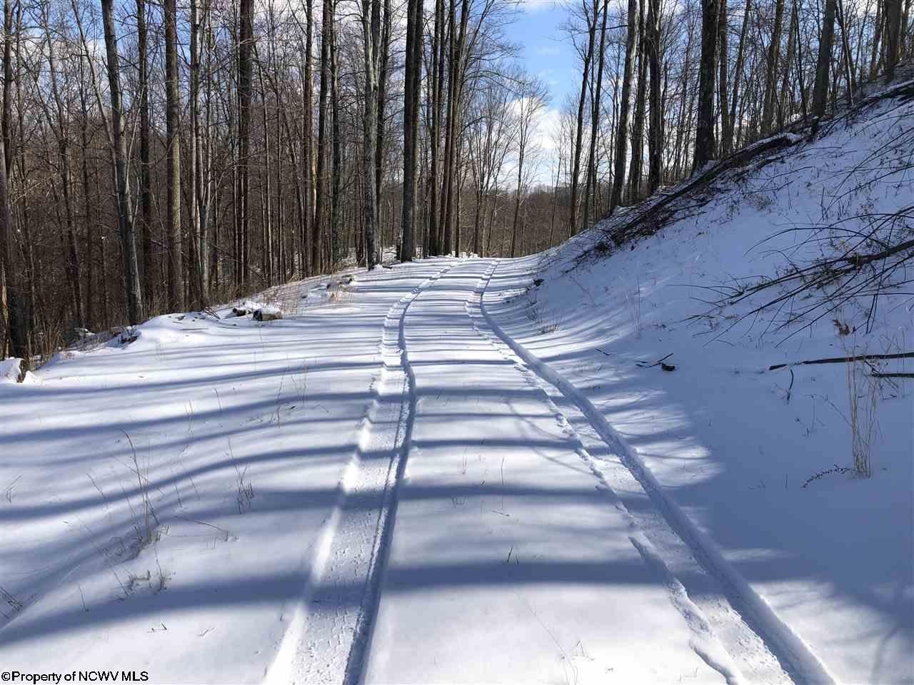 3083 Vernon Road Flatwoods, WV 26621 - Photo 19 of 22 Gallery Image 19