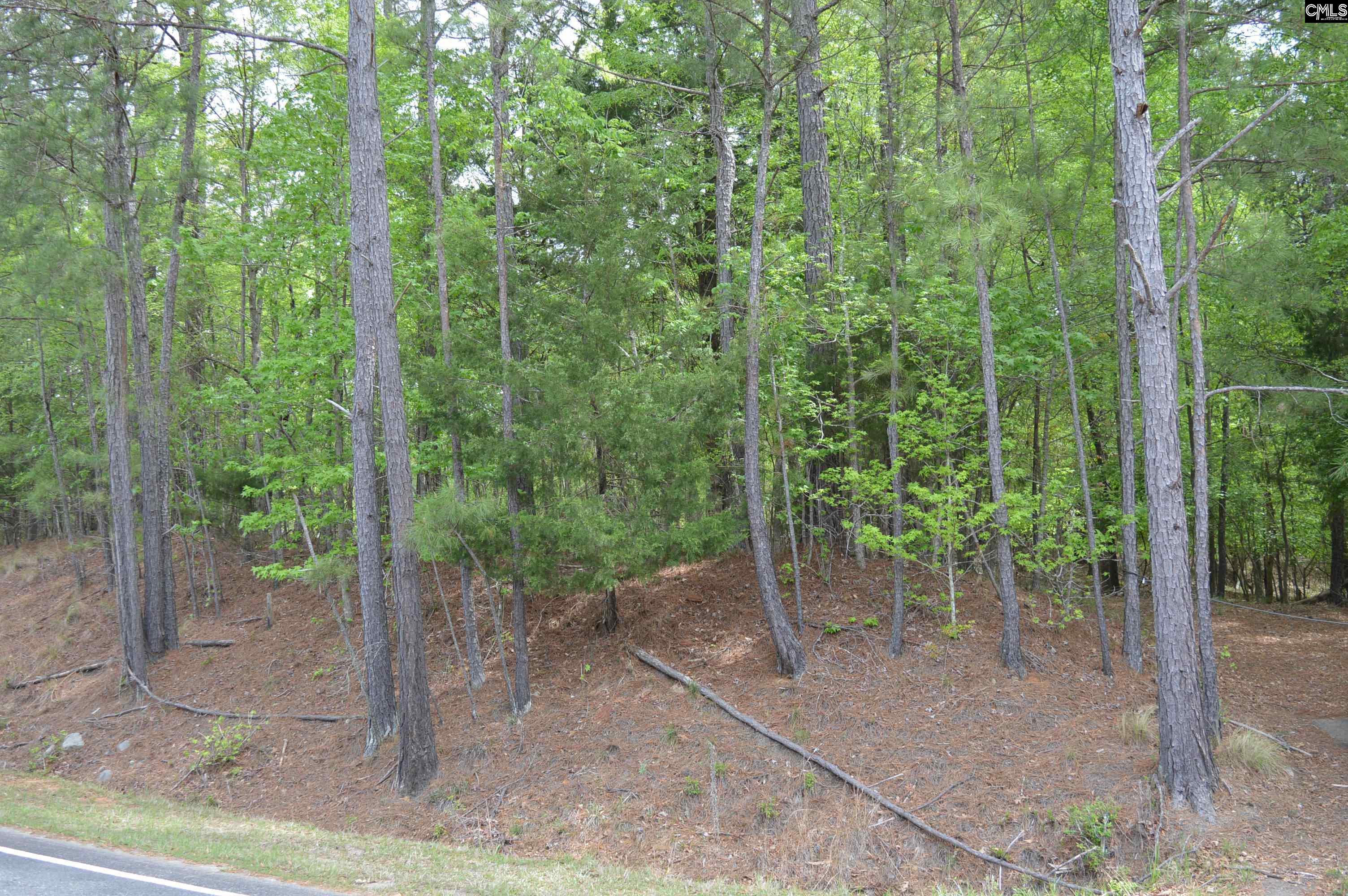 978 Rolling Hills Road Ridgeway, SC 29130 - Photo 3 of 9