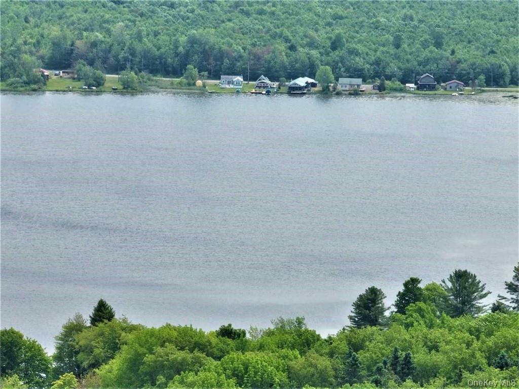 274 Reservoir Hill Road Norwich, NY 13815 - Photo 43 of 44 a view of a lake
