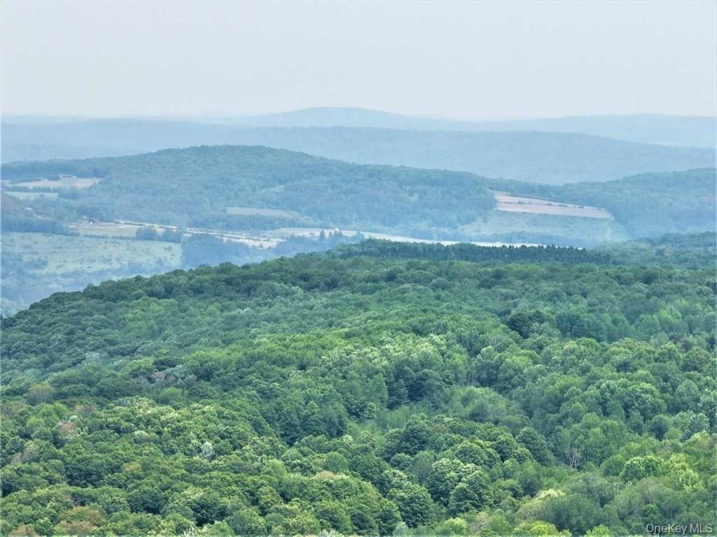 274 Reservoir Hill Road Norwich, NY 13815 - Photo 44 of 44 a view of an ocean beach and mountain