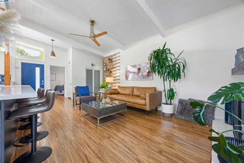 a living room with furniture and a potted plant