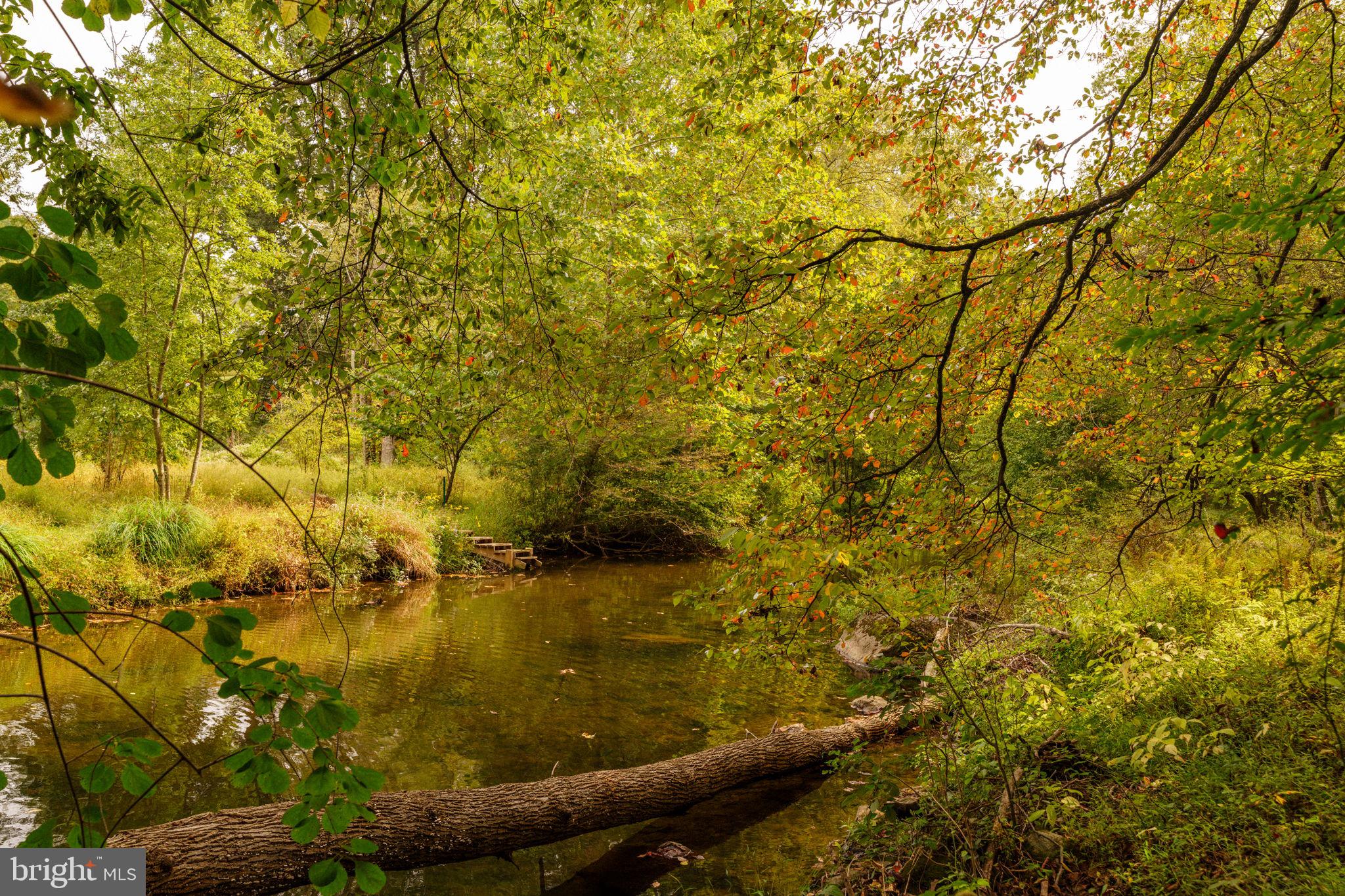 36 Rabbit Run Road Malvern, PA 19355 - Photo 84 of 86