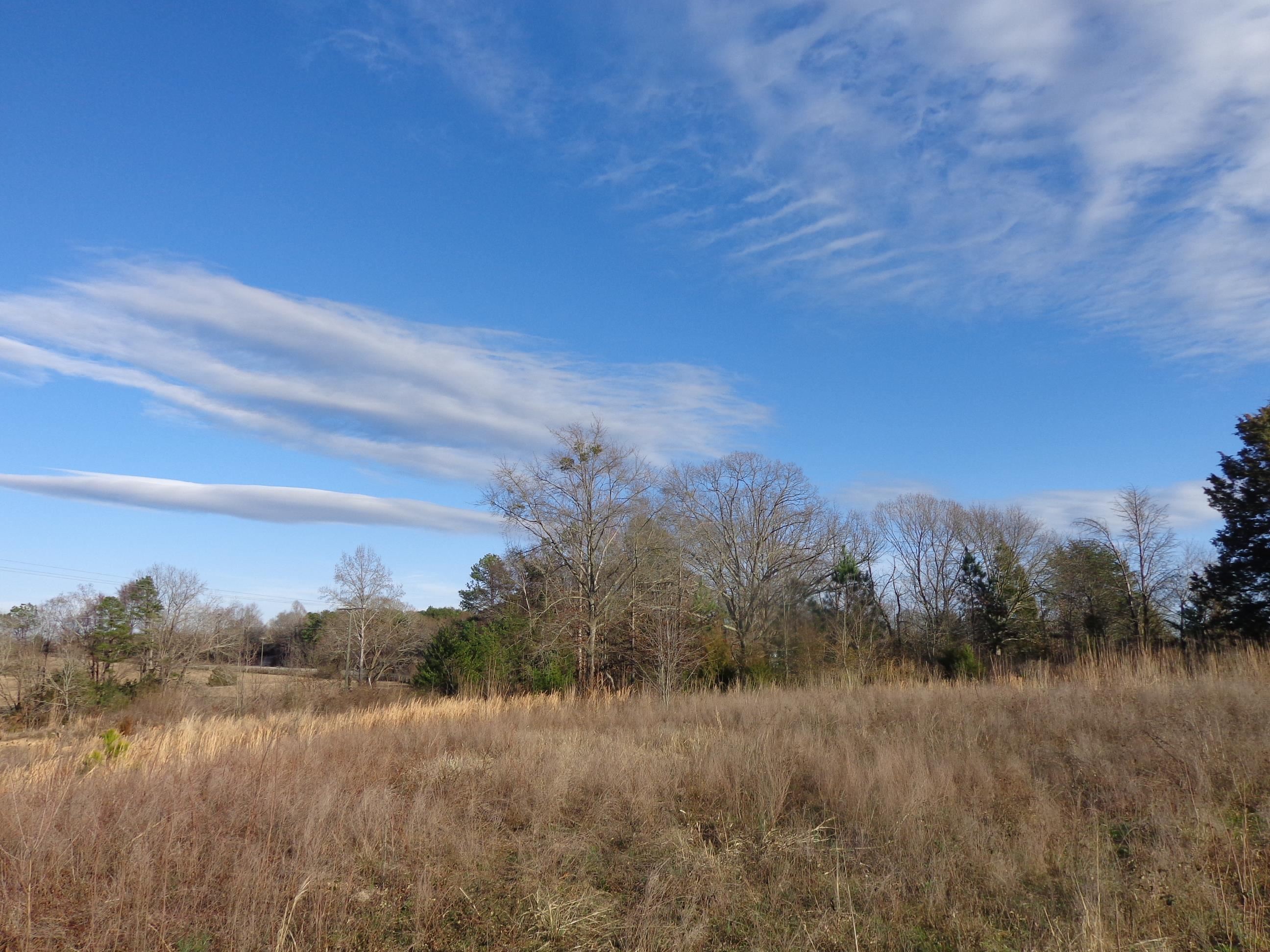 0 Roland Farm Road Gaffney, SC 29340 - Photo 3 of 6 Gallery Image 3