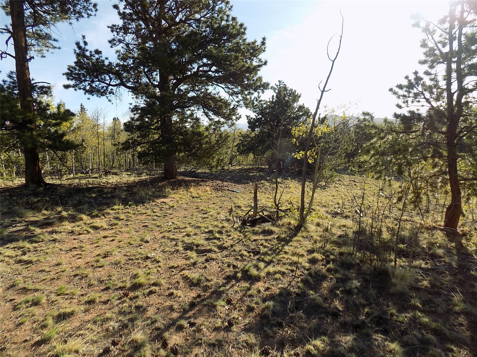 187 Osprey Road Como, CO 80432 - Photo 10 of 20 Gallery Image 10