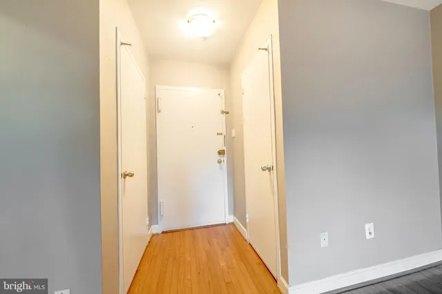 a view of a bathroom with a wooden floor
