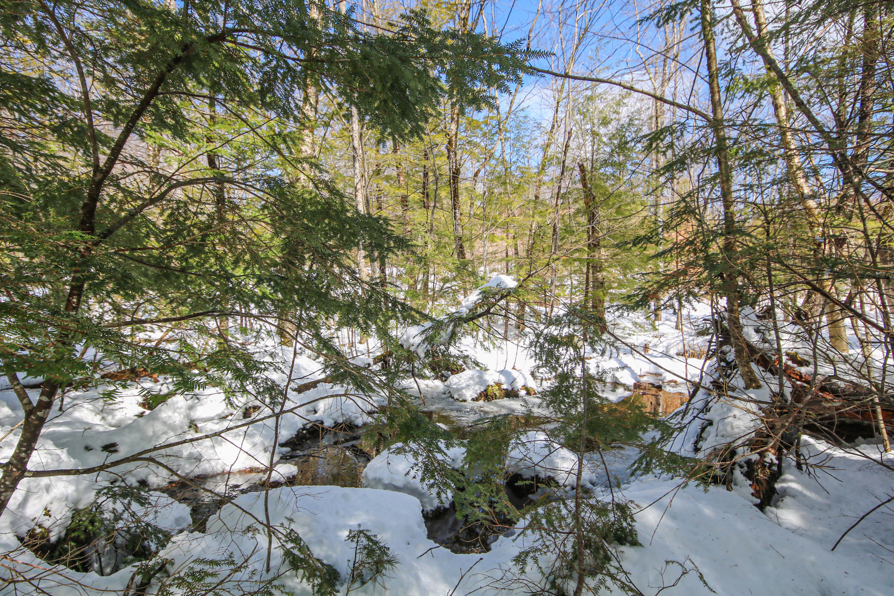 1333 Cape Road Limington, ME 04049 - Photo 48 of 50 1333 Cape Rd Limington - 50Back