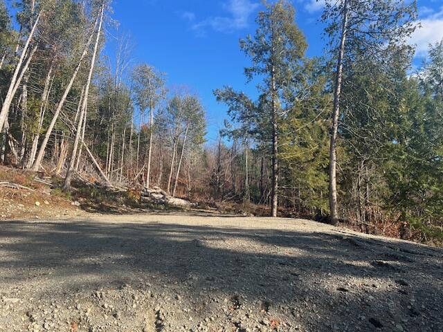 Lot 5 Peterson Road Dover-Foxcroft, ME 04426 - Photo 4 of 10 image1 (3)