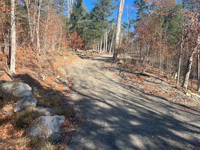 Lot 5 Peterson Road Dover-Foxcroft, ME 04426 - Photo 5 of 10 image1 (4)
