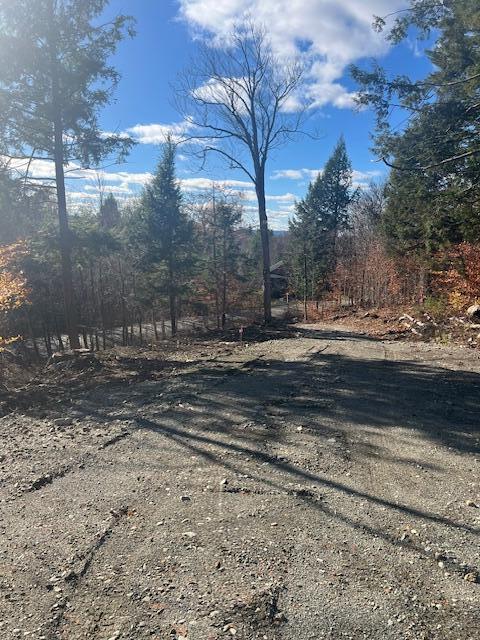 Lot 5 Peterson Road Dover-Foxcroft, ME 04426 - Photo 8 of 10 image3 (1)