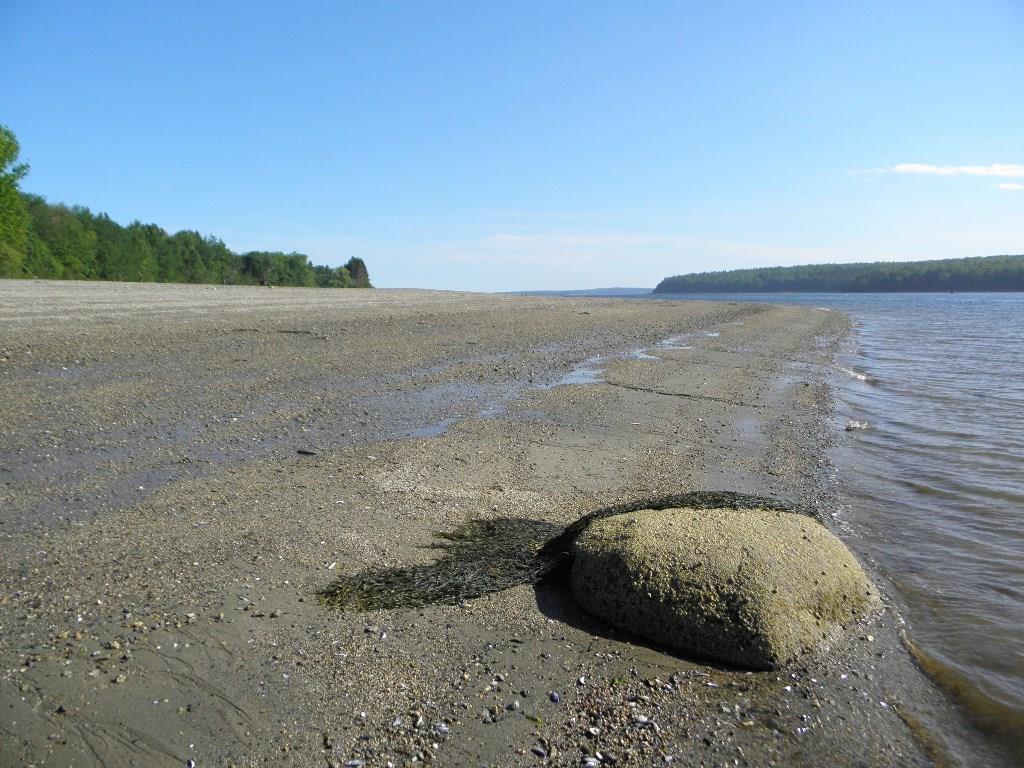 25 Rocky Point Road Stockton Springs, ME 04981 - Photo 2 of 23 Photo
