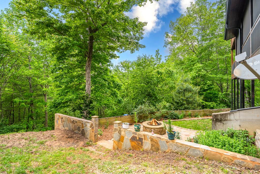 32 Grice Woods Road Blue Ridge, GA 30513 - Photo 53 of 65 Gallery Image 53