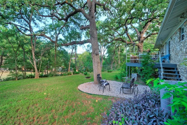 a view of a backyard with plants and large trees