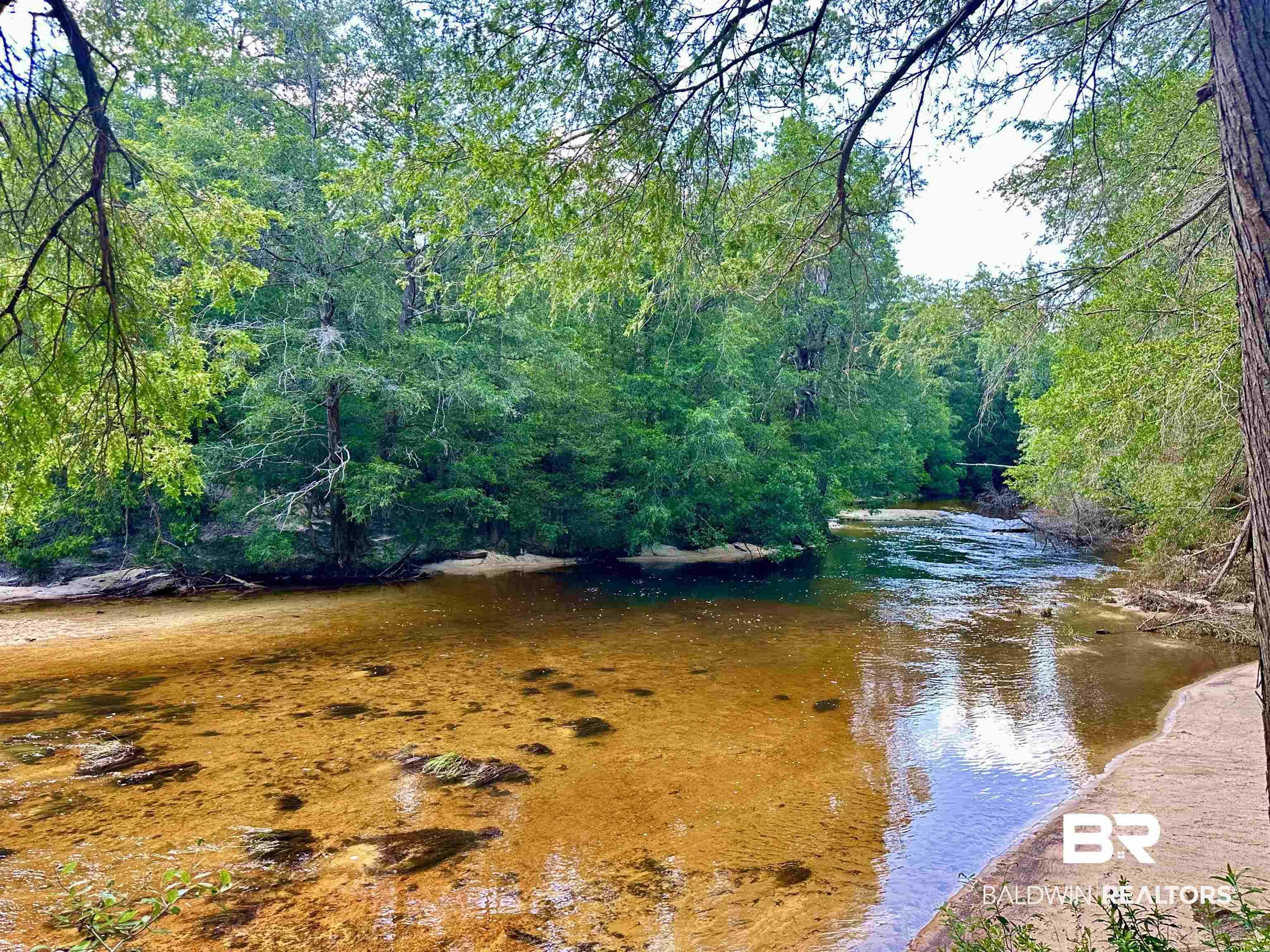 2516 Wolf Log Road Flomaton, AL 36441 - Photo 23 of 25